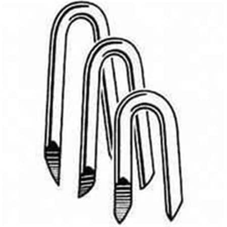 Homestead Staple Fence Eg 1-1/4 In 1Lb 79078, 12PK HO2630608